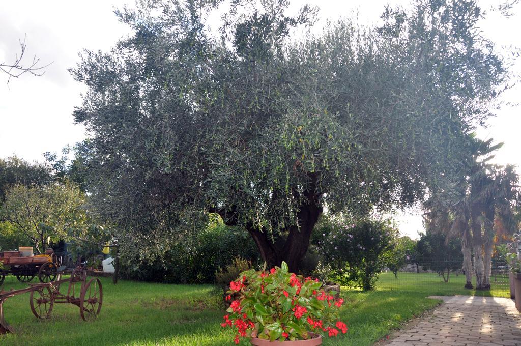 Franko Apartmani Zambratija  Exterior foto
