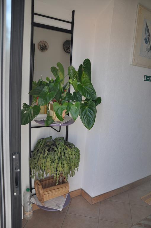 Franko Apartmani Zambratija  Exterior foto