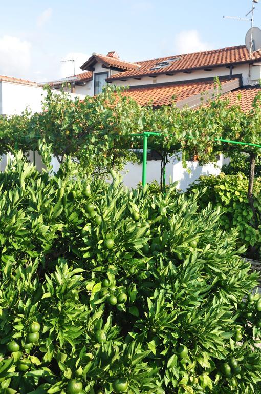 Franko Apartmani Zambratija  Exterior foto